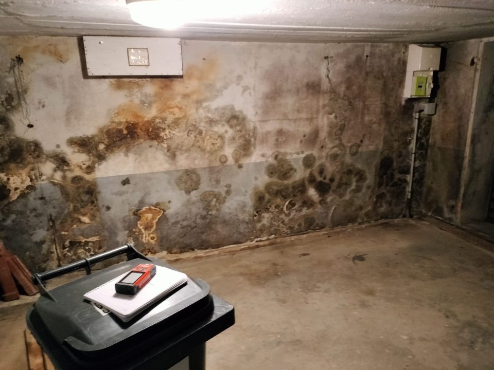 Traitement contre l'humidité d'une maison à Mortagne au Perche, 61400, Orne