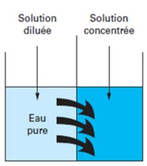 Schéma illustrant la dilution, utile pour Esprit Façades, Façadier dans l'Orne.