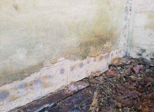 Mur présentant des traces d'humidité, intervenant Esprit Façades, Façadier dans l'Orne et Eure-et-Loir.